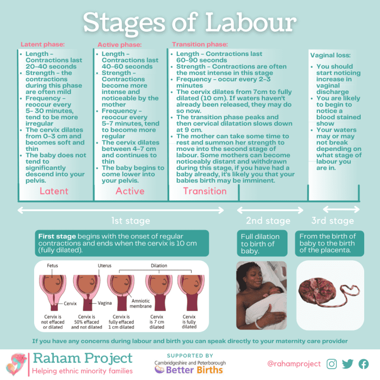 Stages of Labour